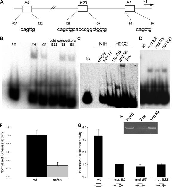 FIG. 4.