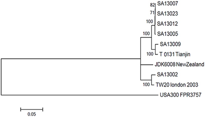 Fig 2