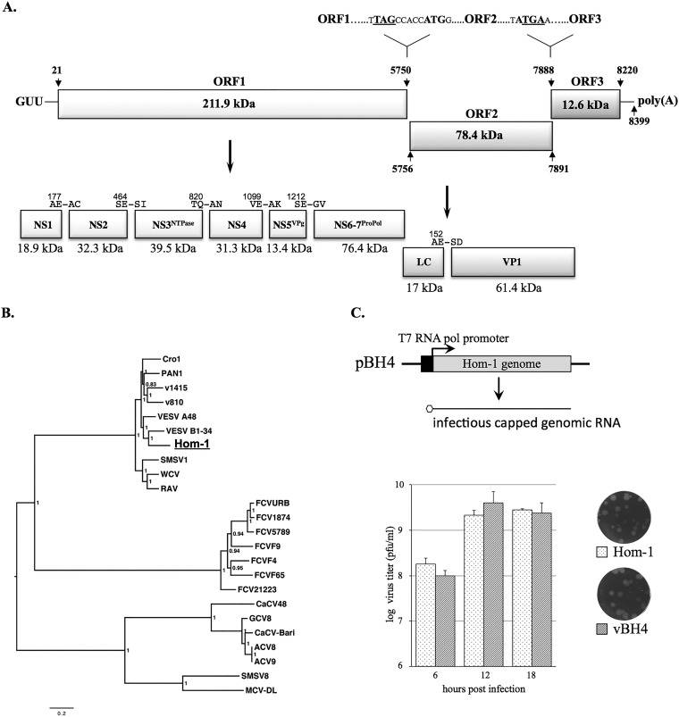 FIG 2 