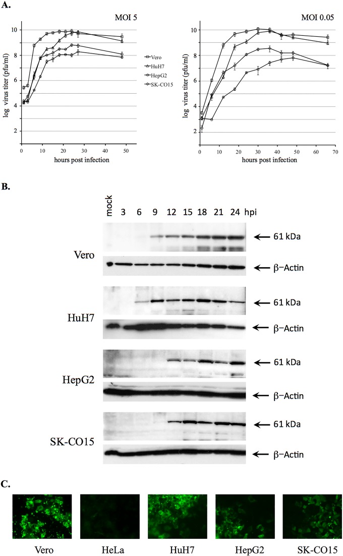 FIG 1 