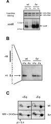 FIG. 1.