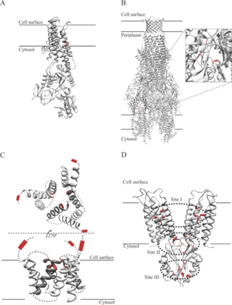 FIGURE 1.