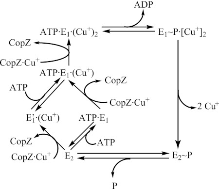 FIGURE 2.