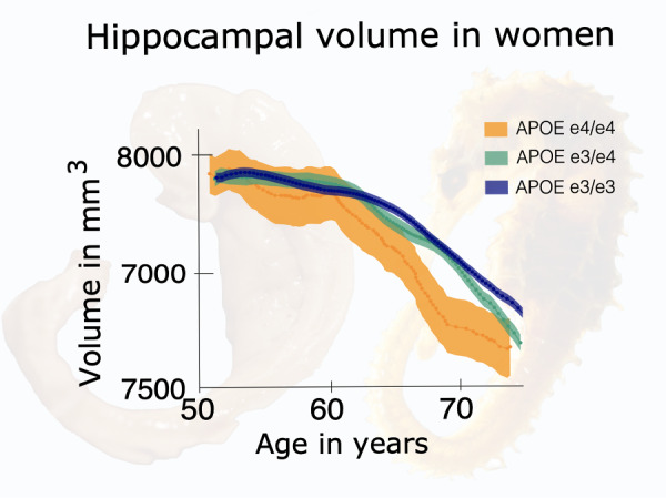 Graphical Abstract