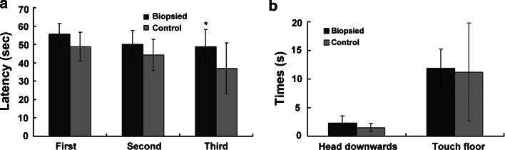 Fig. 1