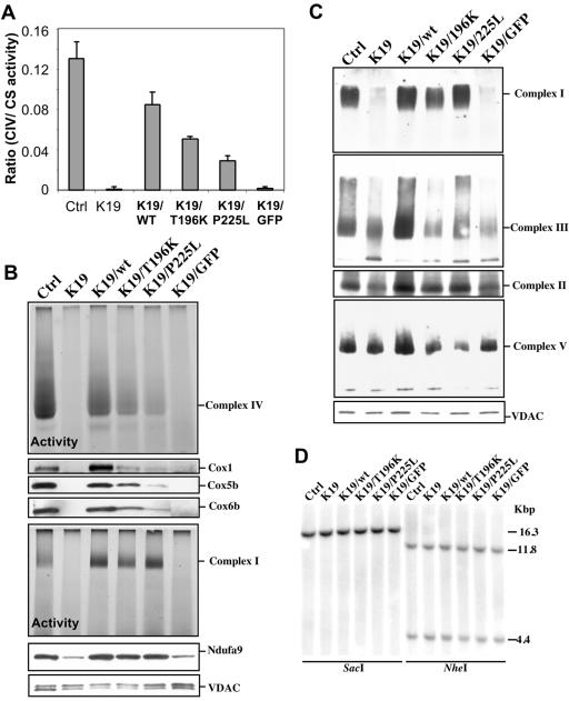 FIG. 7.