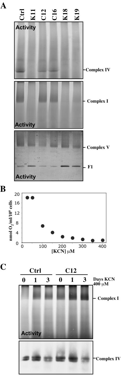 FIG. 6.