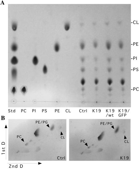 FIG. 9.