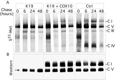 FIG. 10.