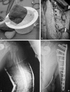 Fig. 7