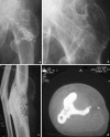 Fig. 6
