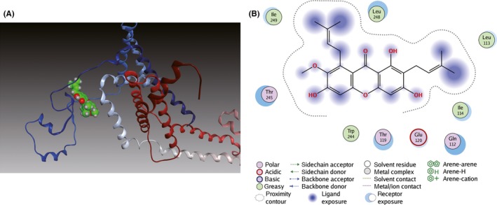 Figure 6