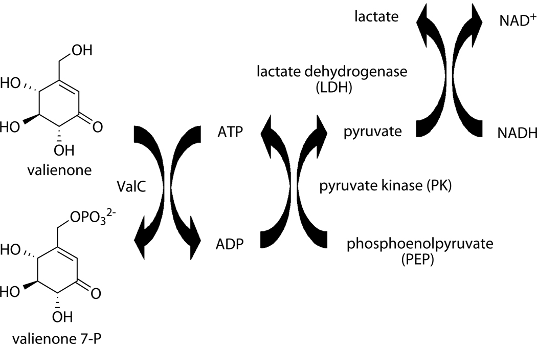 Scheme 3