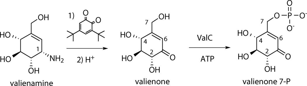 Scheme 2