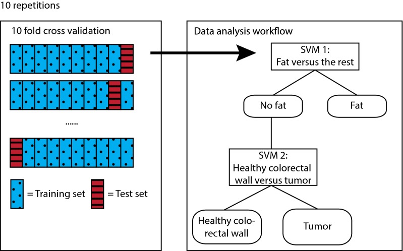 Fig. 3