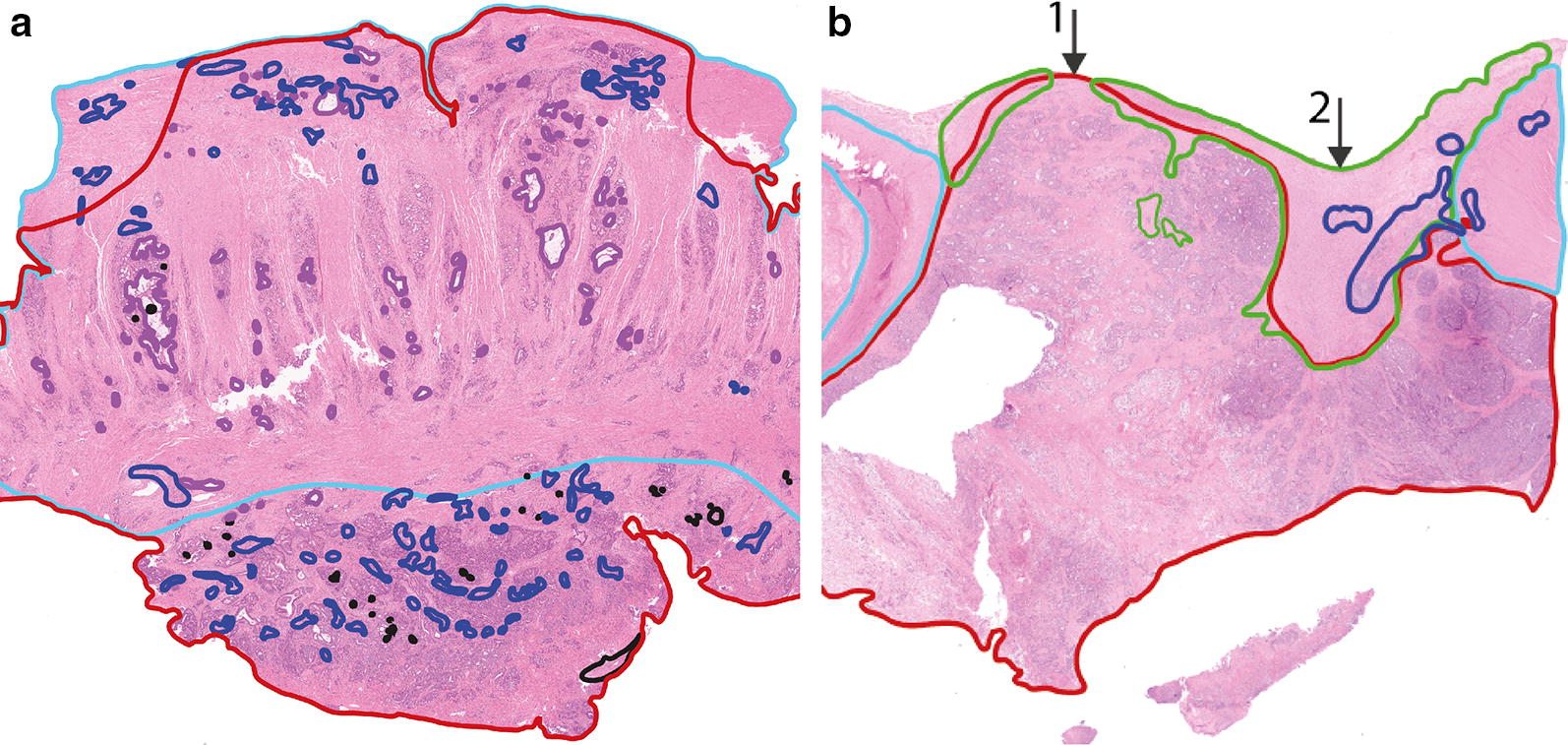 Fig. 5