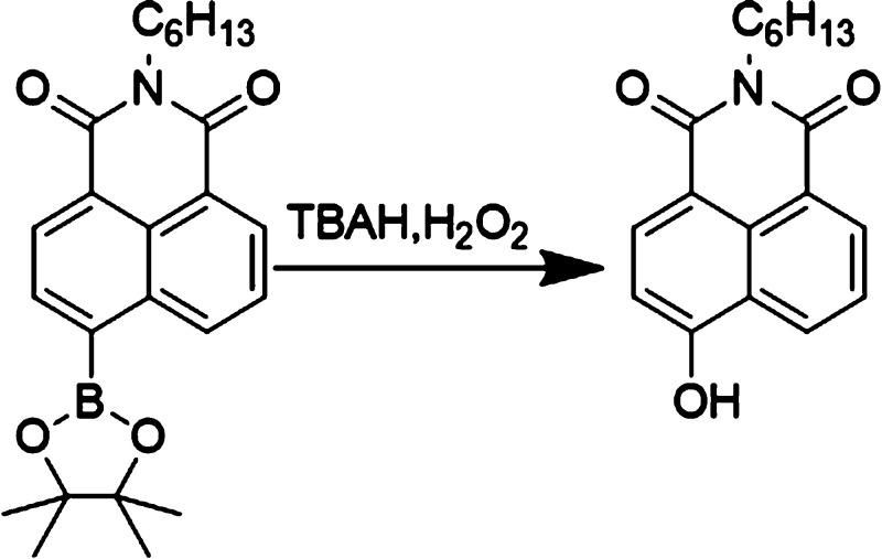 Scheme 2