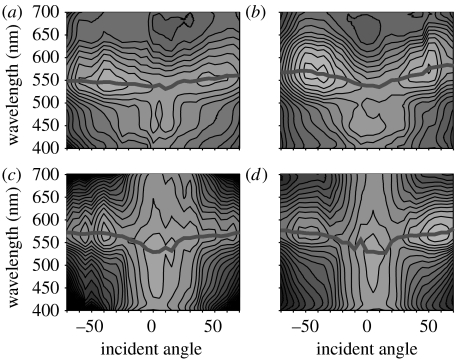 Figure 13