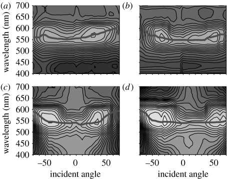 Figure 12