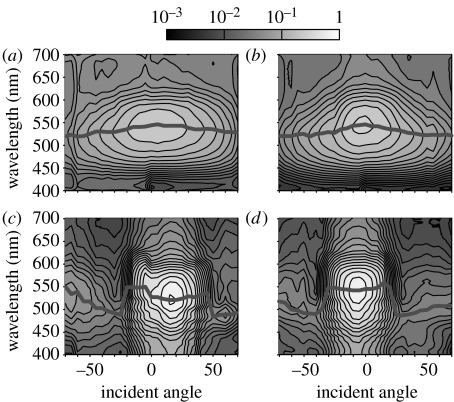 Figure 11