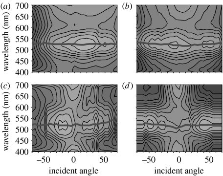 Figure 14