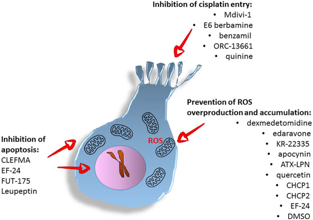 Figure 2.