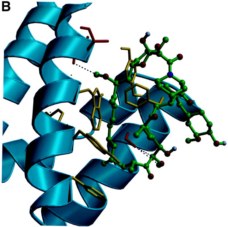 FIG. 3