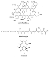 FIG. 10