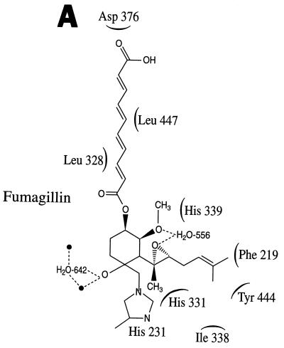 FIG. 7