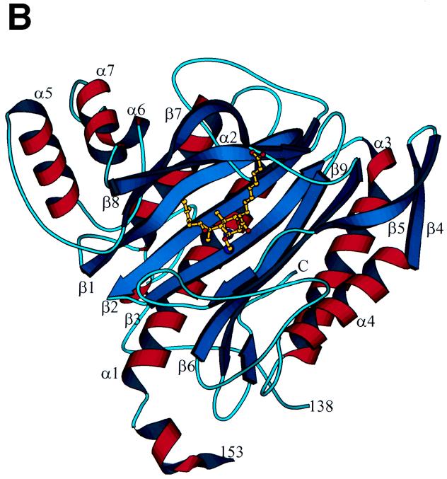 FIG. 7