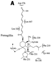 FIG. 7