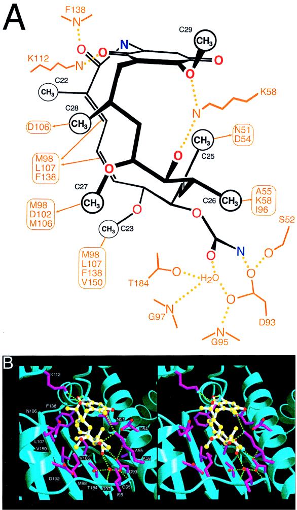 FIG. 8