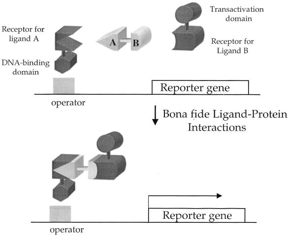 FIG. 11