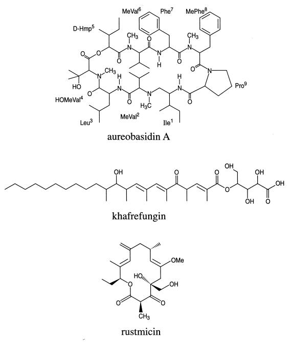 FIG. 10