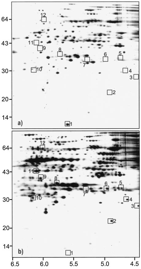 FIG. 3.