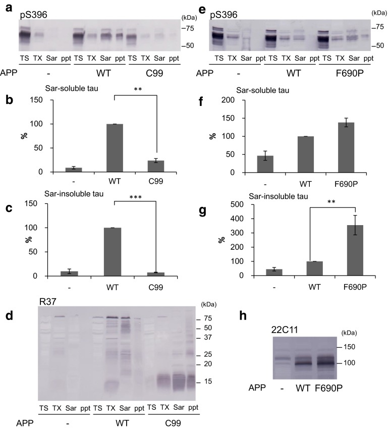 Fig. 6