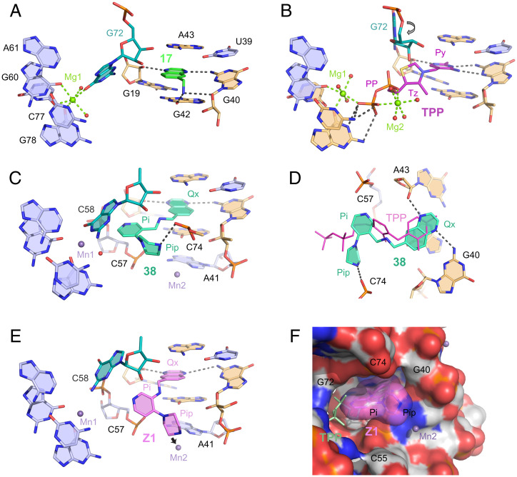 Fig. 6.