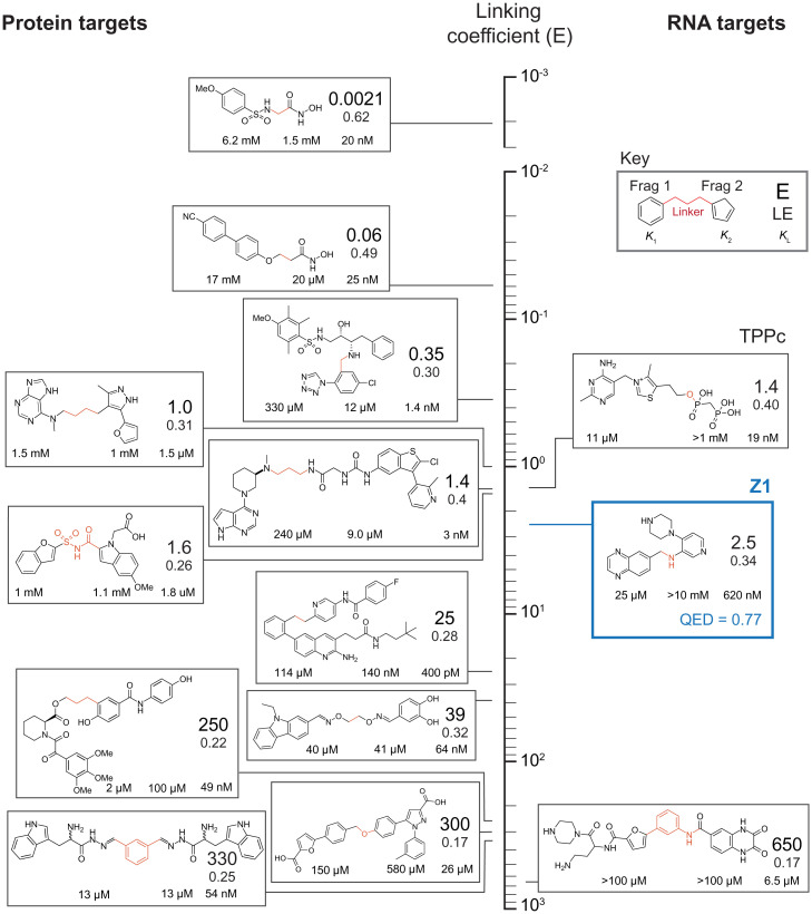 Fig. 8.