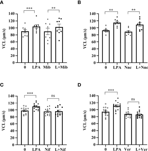 Figure 7