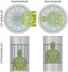 Fig. 1 -