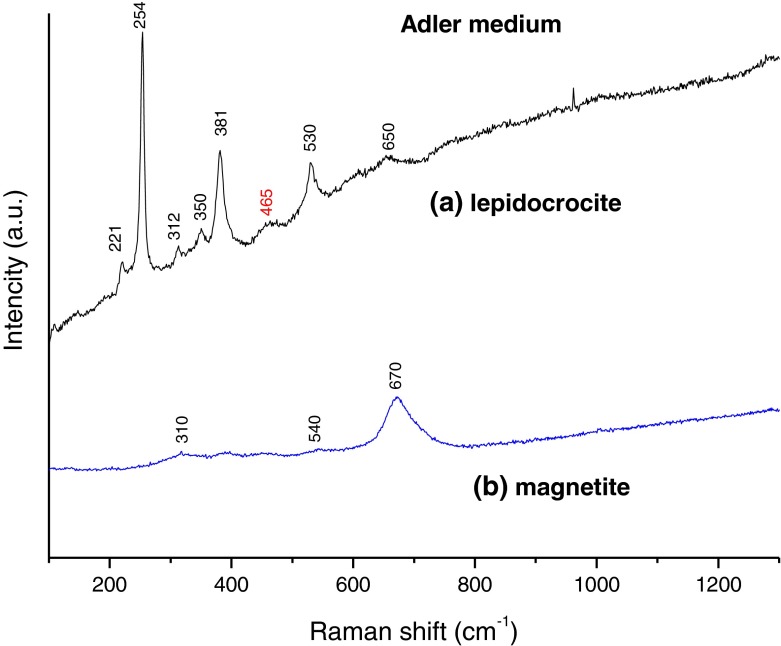 Fig. 10