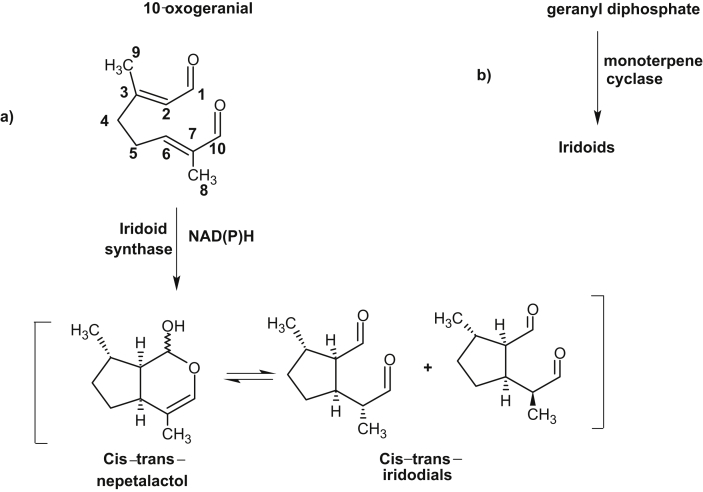 Fig. 3