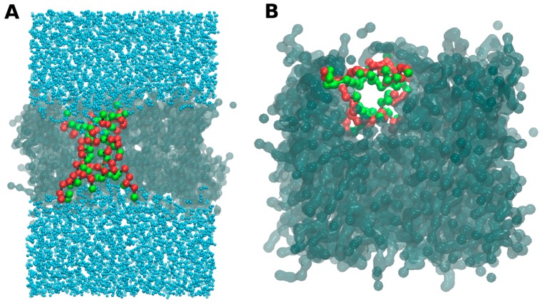 Figure 5