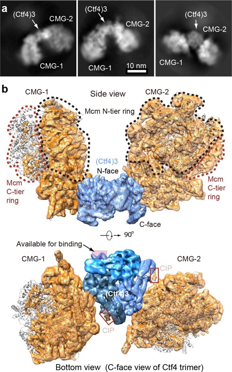 Figure 5.