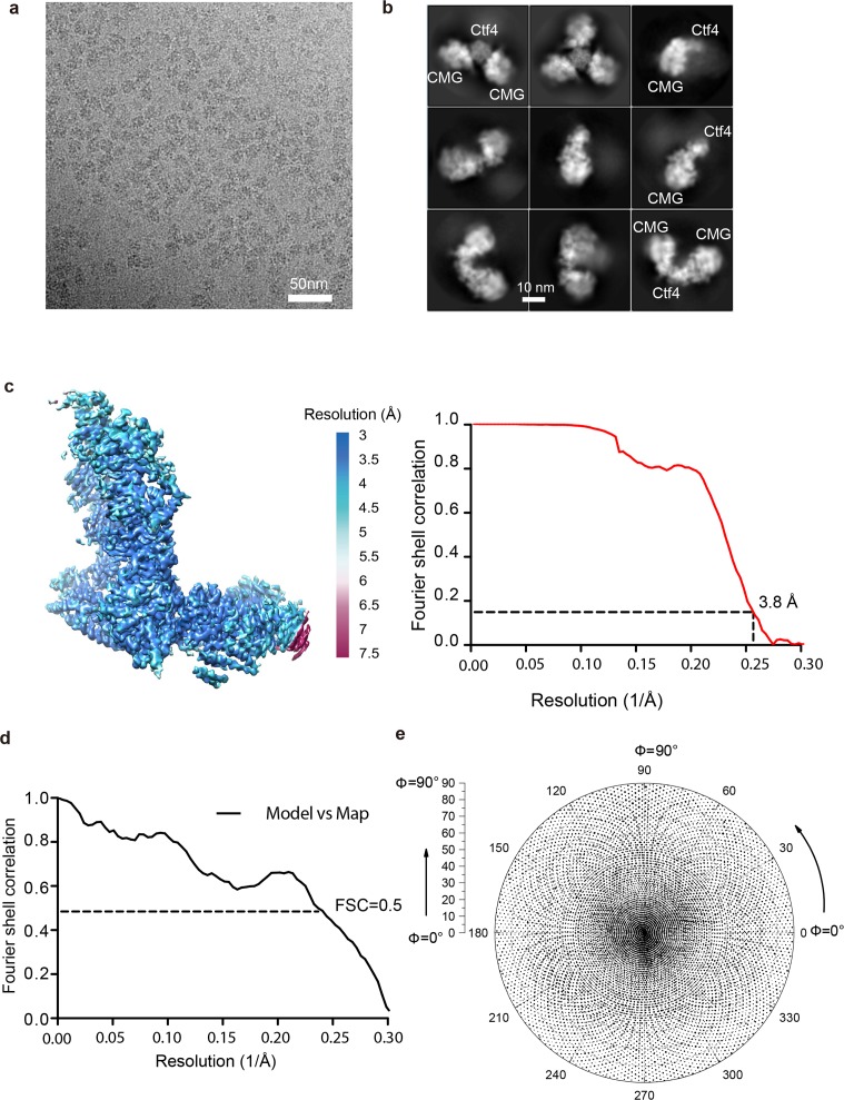 Figure 3—figure supplement 2.