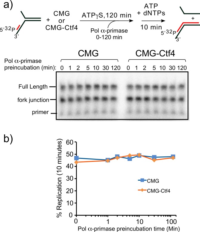 Figure 7—figure supplement 4.