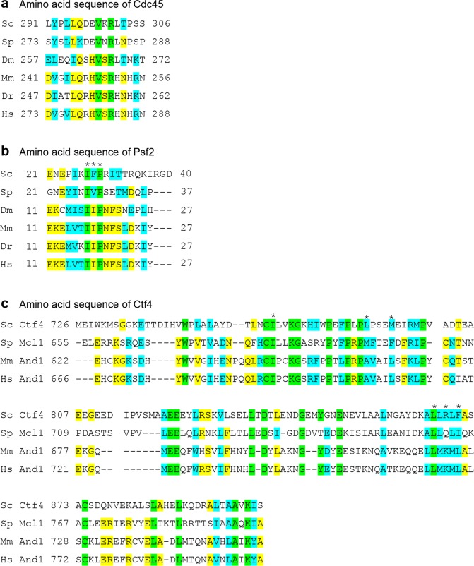 Figure 4—figure supplement 3.