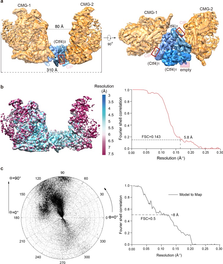 Figure 5—figure supplement 1.