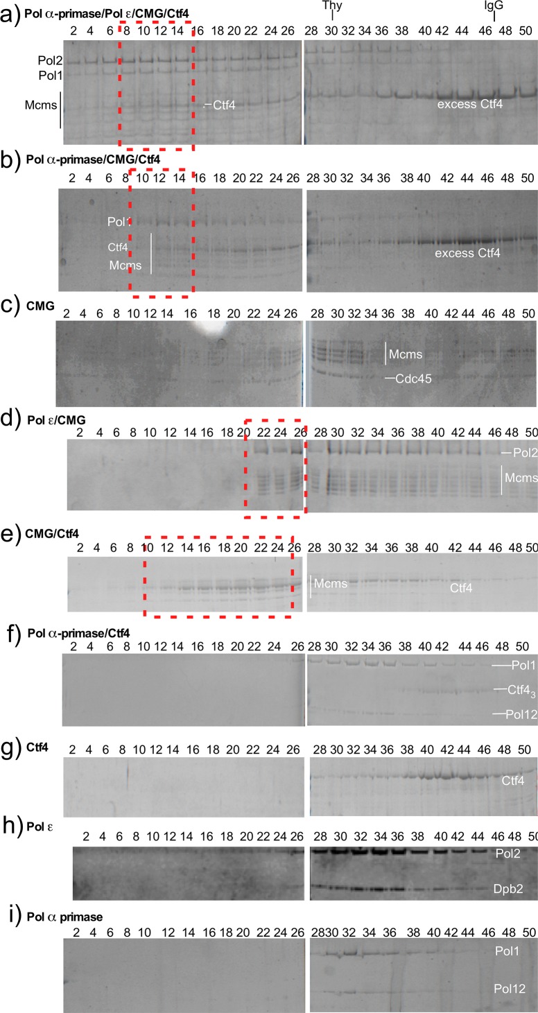 Figure 2—figure supplement 1.