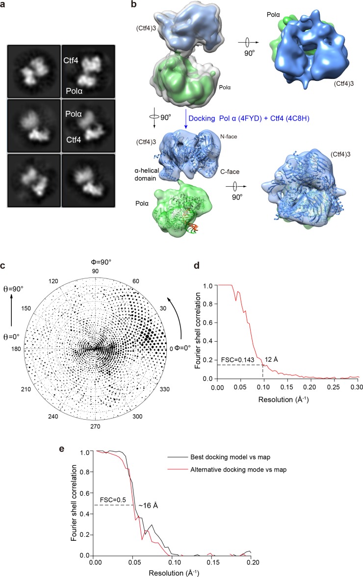 Figure 6—figure supplement 1.